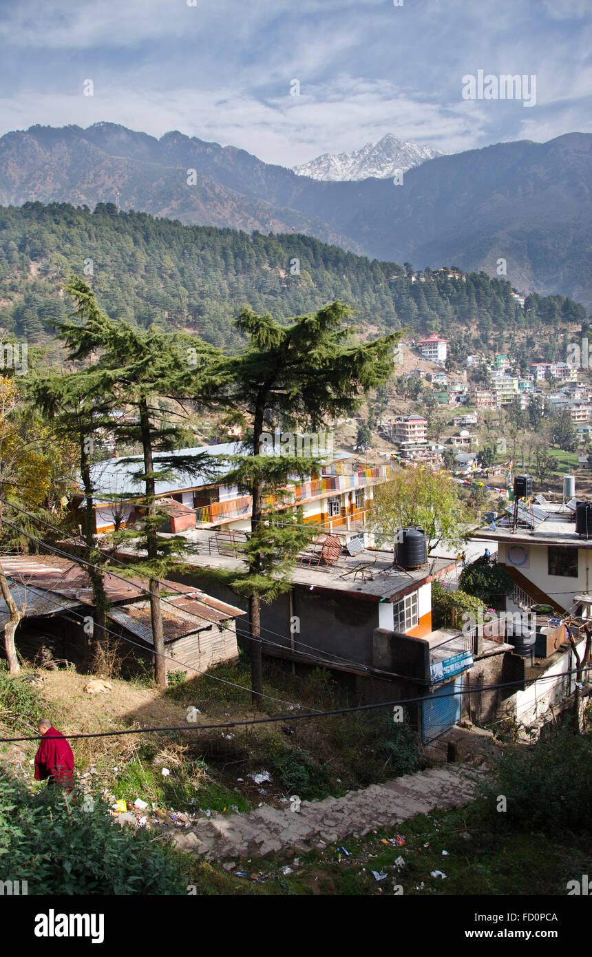 Dharamsala Himachal Pradesh, Indien Stockfoto