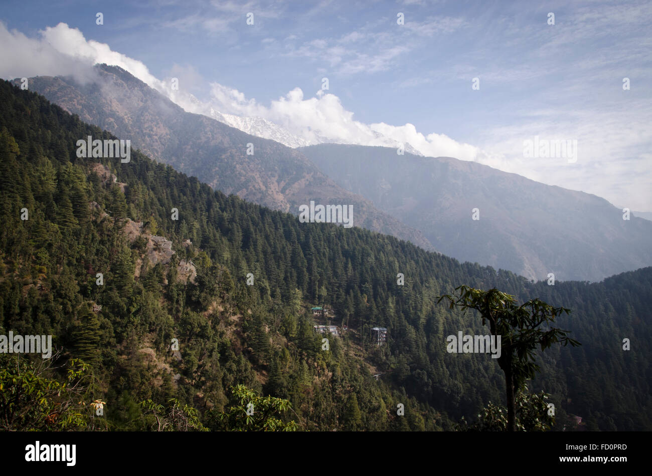 Blick von Dharamsala Himachal Pradesh, Indien Stockfoto