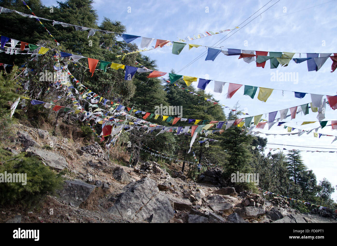 Gebetsfahnen, Dharamsala Himachal Pradesh, Indien Stockfoto