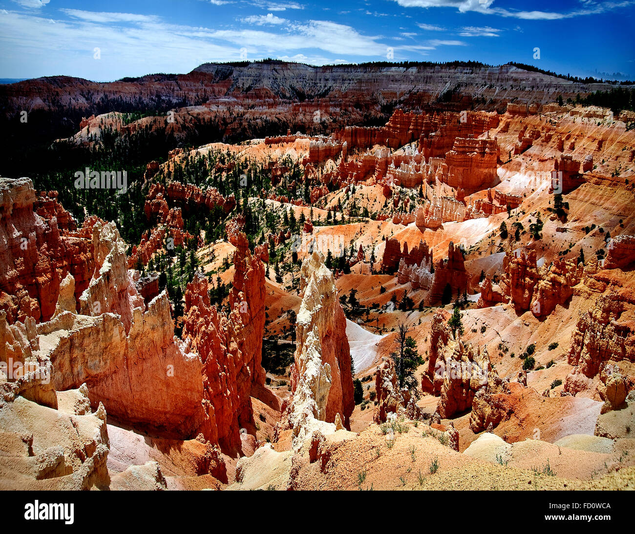 Brice-Canyon-Nationalpark, roten Felsen Hoodoos nach Regen.  Der Regen unterstreicht die roten Felsen und Sediment.   Hoodoos & Wald mi Stockfoto