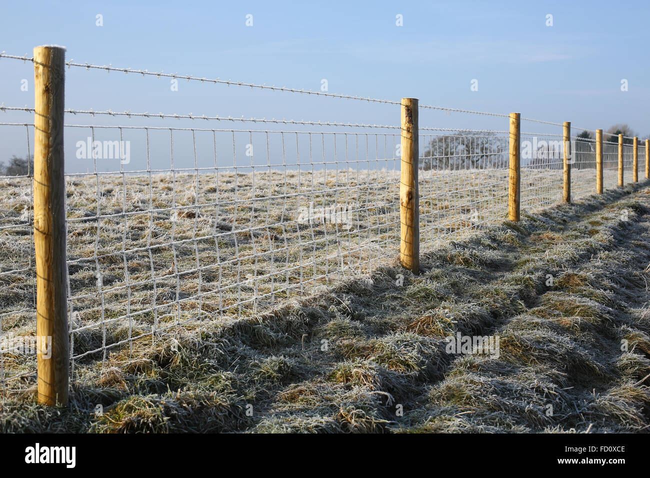 Zaun auf frostigen Feld in Warwickshire, England, UK Stockfoto
