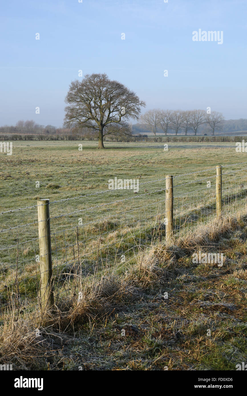 Zaun auf Feld in Warwickshire, England, UK Stockfoto