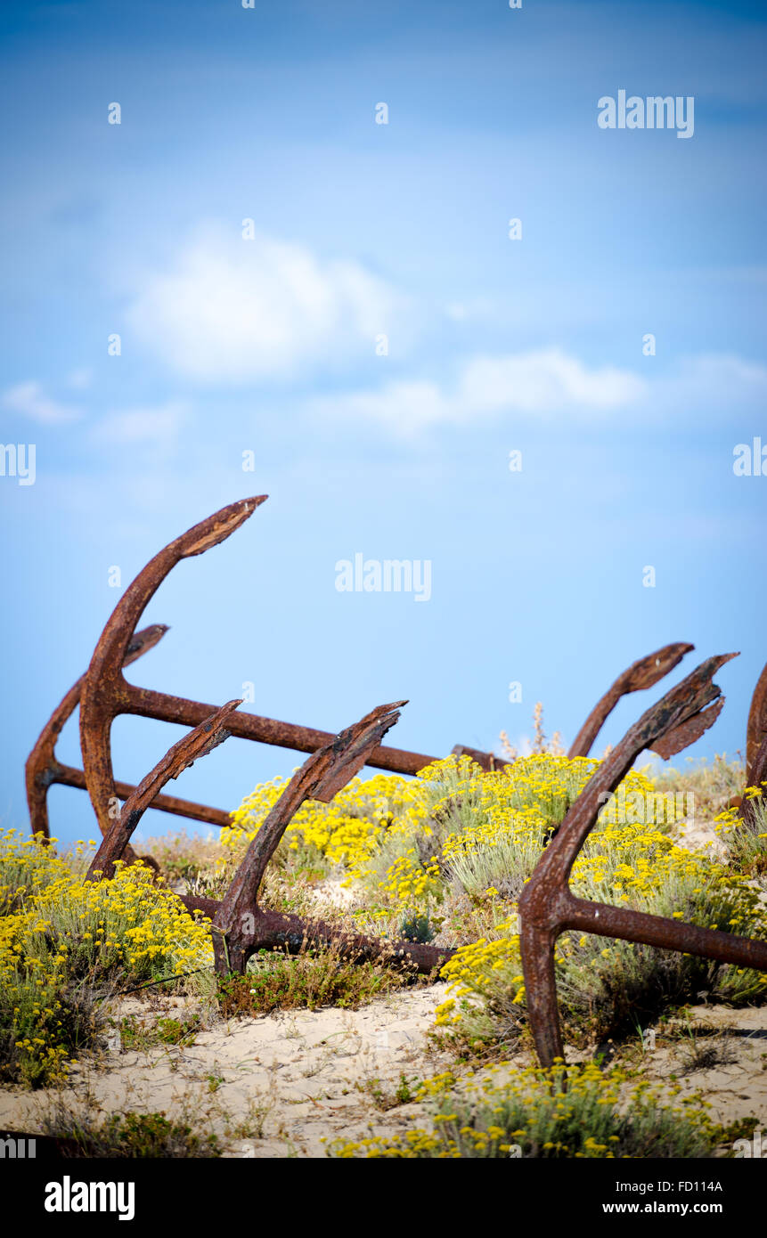 Friedhof der Anker V - Lauf Strand Stockfoto