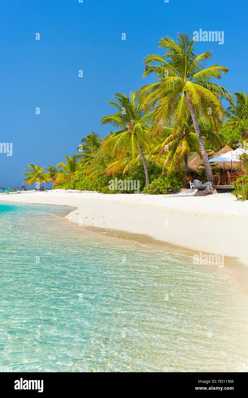 tropischer Strand Malediven Insel, Ari Atoll Stockfoto