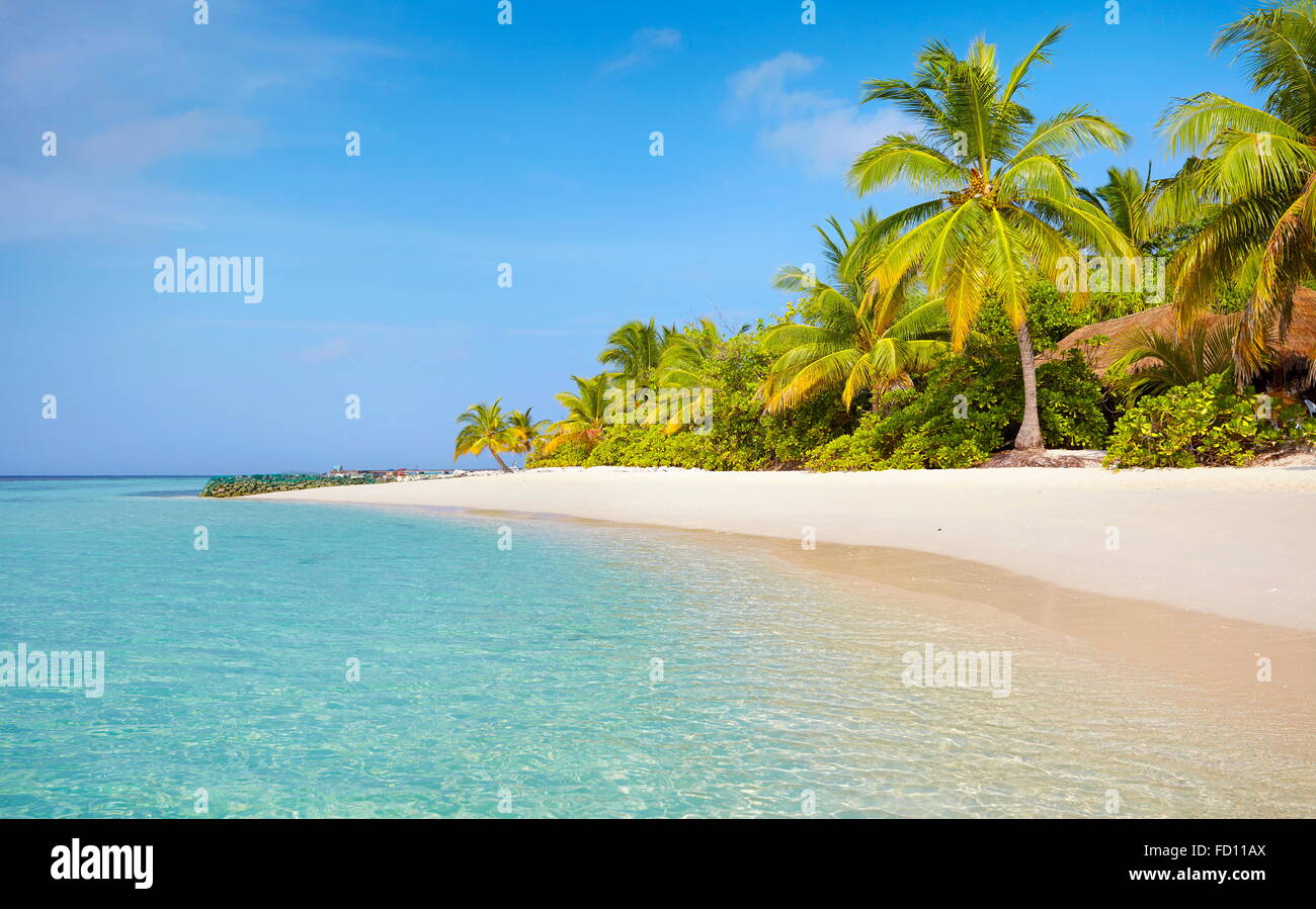 Malediven Strand Landschaft Stockfoto