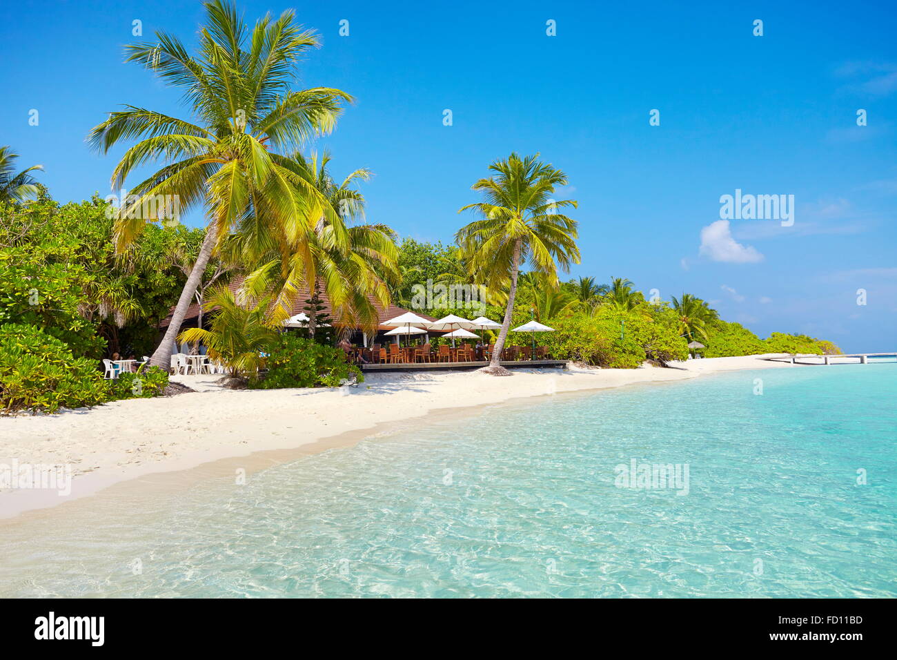Tropischer Strand Malediven Insel, Ari Atoll Stockfoto