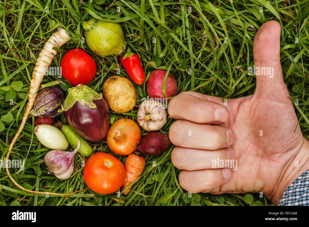 Reife kleine Gemüse auf dem Rasen, angelegt in einem Kreis. Gesunde Lebensmittel. Hand-Herstellung wie Stockfoto
