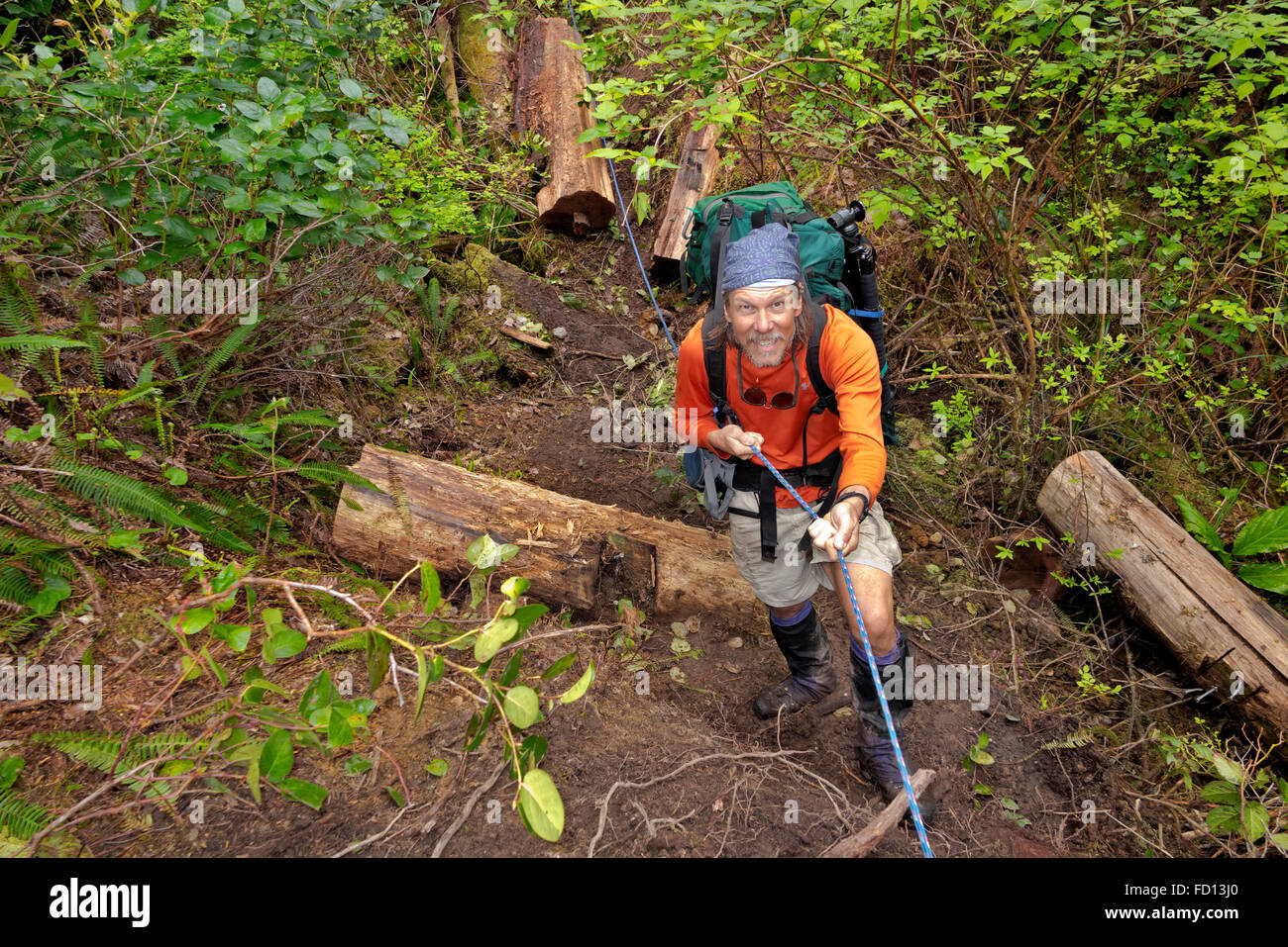 BRITISH COLUMBIA - Wanderer auf eine im inland Teil der West Coast Trail mit einem Seil über ein Baugebiet zu navigieren. Stockfoto
