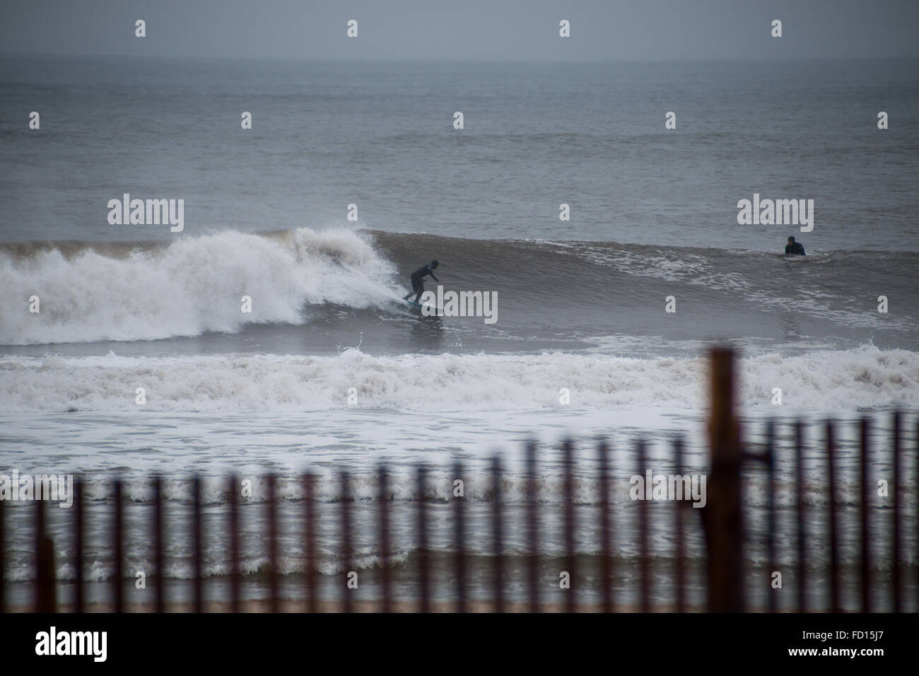 Surfer auf einer Welle. Fotografiert in Rockaway Beach, New York am 29. Dezember 2015. Stockfoto