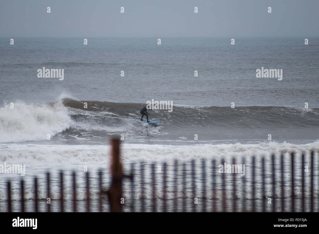 Surfer auf einer Welle. Fotografiert in Rockaway Beach, New York am 29. Dezember 2015. Stockfoto