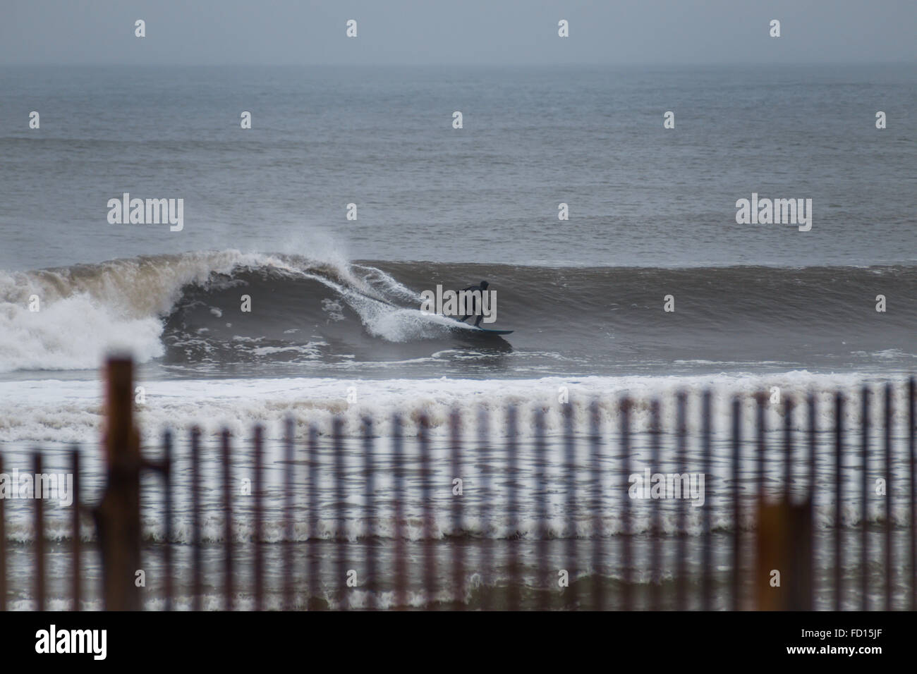 Surfer auf einer Welle. Fotografiert in Rockaway Beach, New York am 29. Dezember 2015. Stockfoto