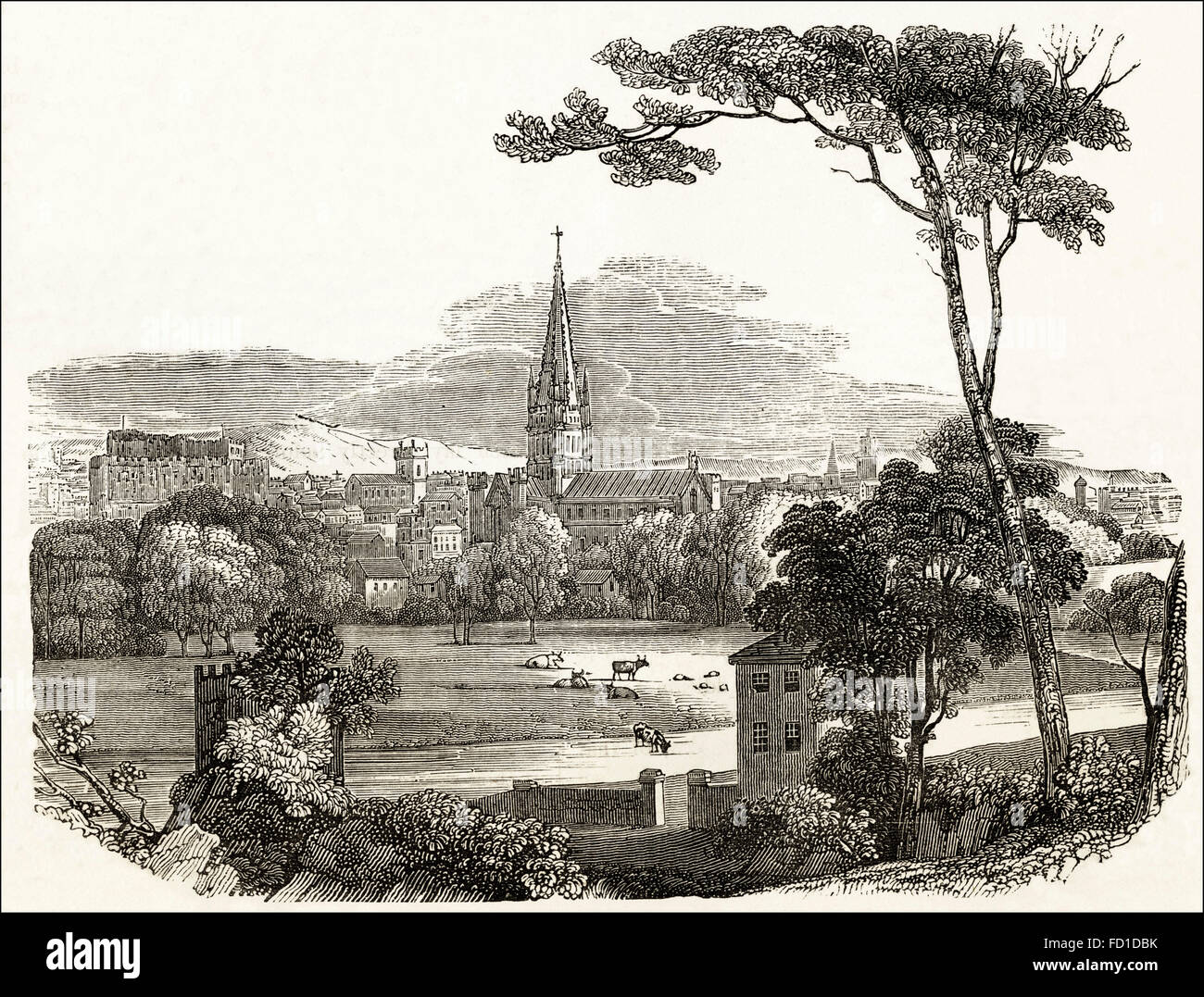 Blick über Norwich Cathedral, die 1096 gestartet wurde. Viktorianischen Holzschnitt, Kupferstich, ca. 1845. Stockfoto