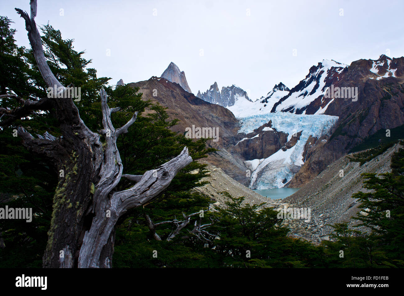 Mirador Glaciar Piedras Blancas neben Mount Fitz Roy, Nationalpark Los Glaciares, Patagonien, Argentinien Stockfoto