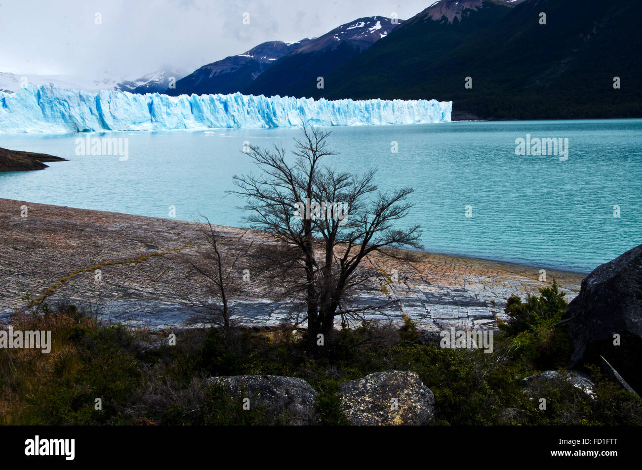 Perito Moreno-Gletscher, Felsen vom Gletscher geschnitzt, Nationalpark Los Glaciares, Patagonien, Argentinien Stockfoto