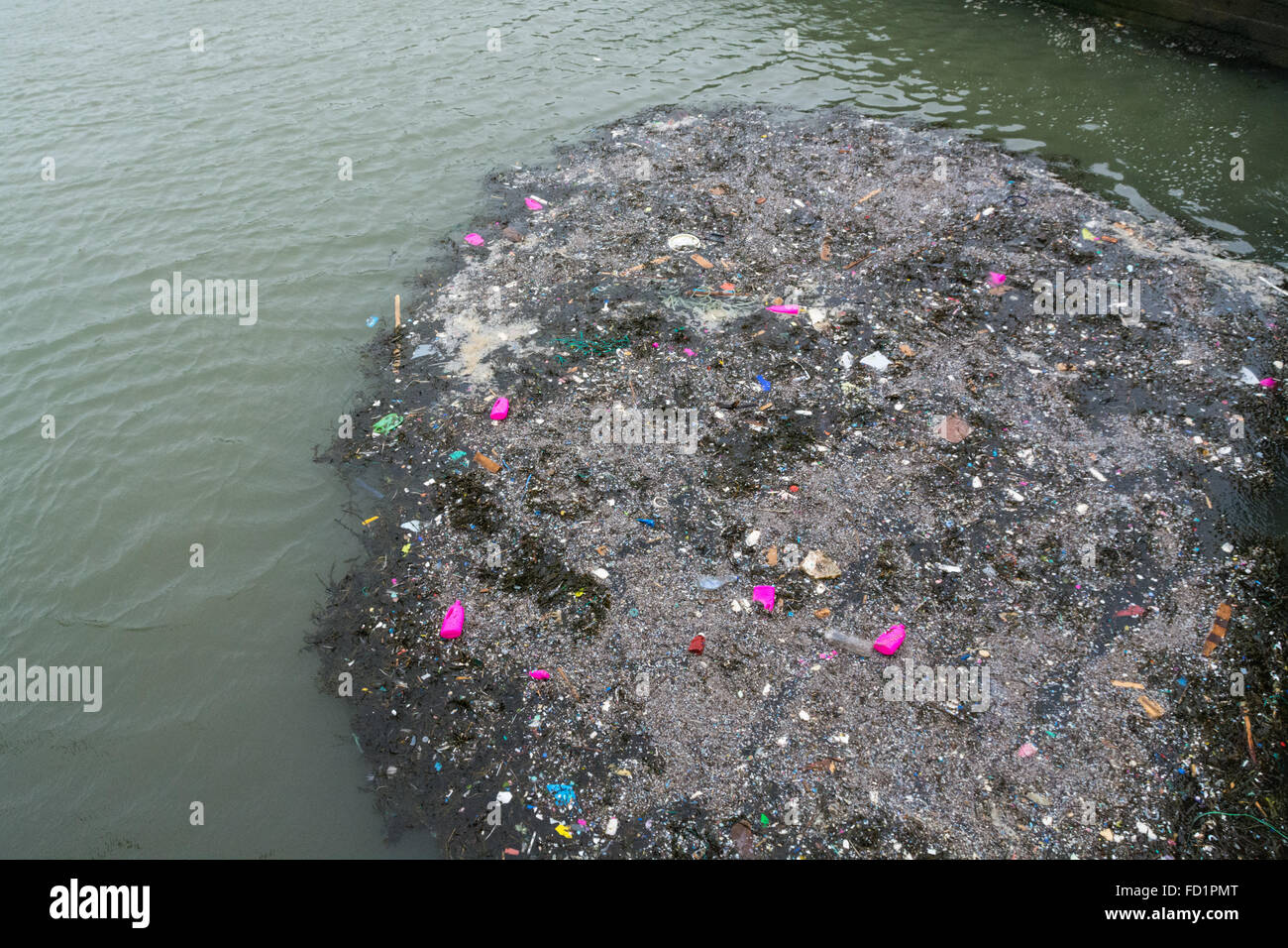 Porthleven Hafen, Cornwall, UK. 27. Januar 2016.  Stürme weiterhin in Meeresmüll in Cornwalls Küste zu waschen. Gesehen hier mehr Waschmittel Vanish-Flaschen, die einen breiten Bereich der Küste in den letzten paar Wochen übersät sind. Bildnachweis: Simon Yates/Alamy Live-Nachrichten Stockfoto