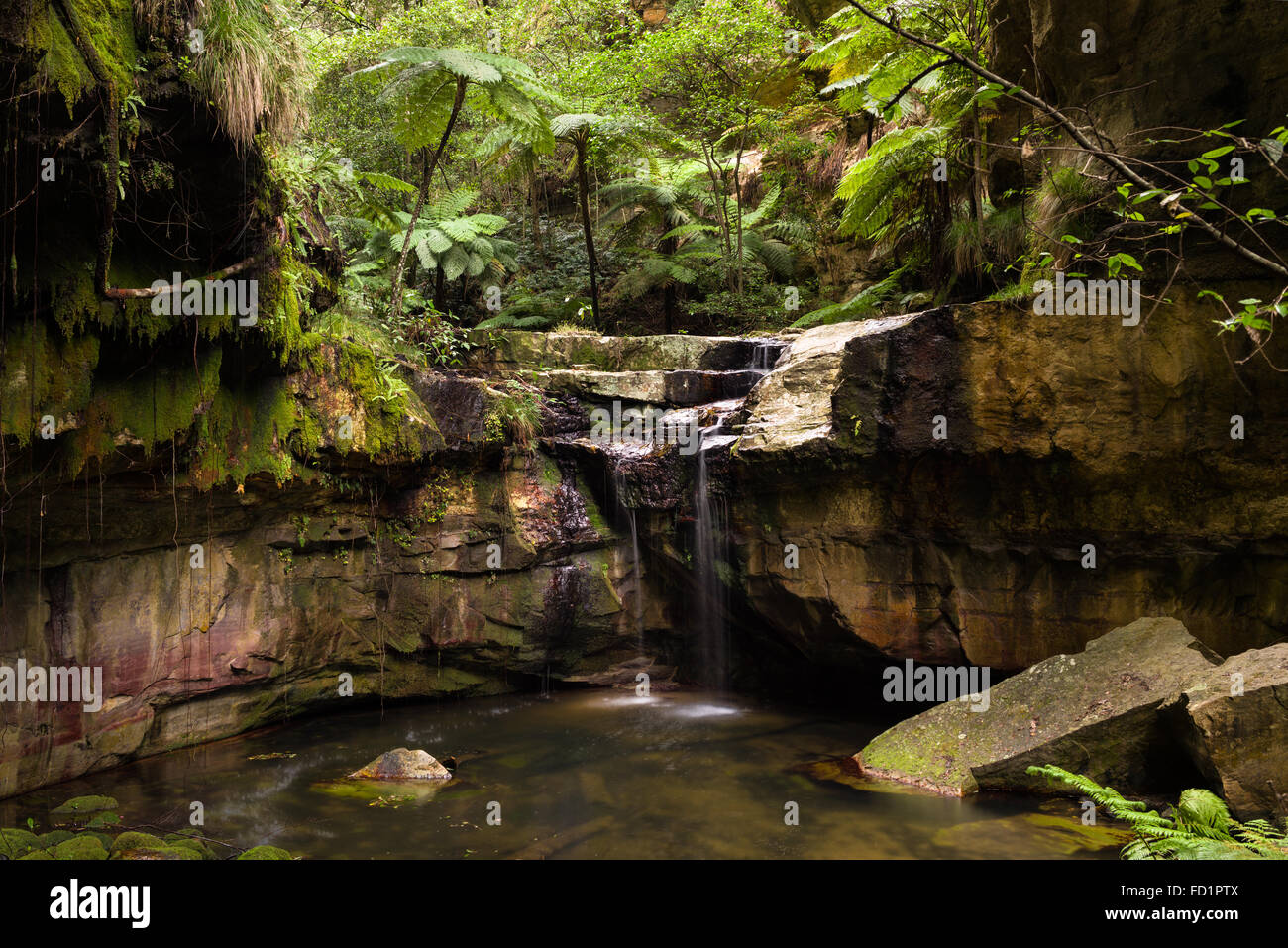 Moos Garden Carnarvon Gorge Waterfall, Queensland, Australien Stockfoto