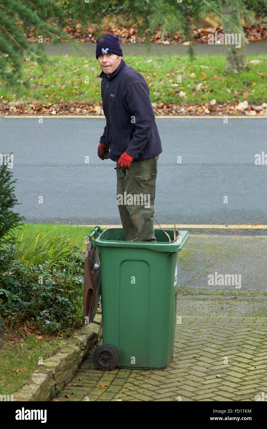 Mann, die Komprimierung von Gartenabfällen in einem grünen Wheelie-Lagerplatz Stockfoto