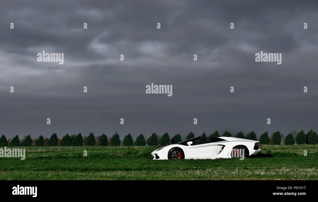 Lamborghini Aventador Roadster Stockfoto