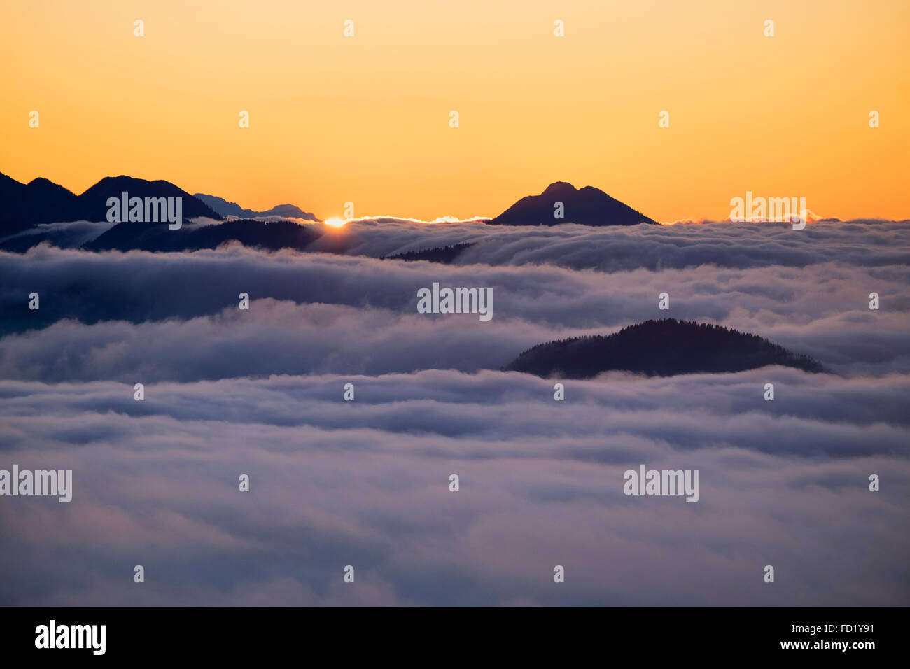 Sonnenaufgang am Jochberg Berg mit Wolkendecke, Bayerische Voralpen, Kochel, Upper Bavaria, Bavaria, Germany Stockfoto