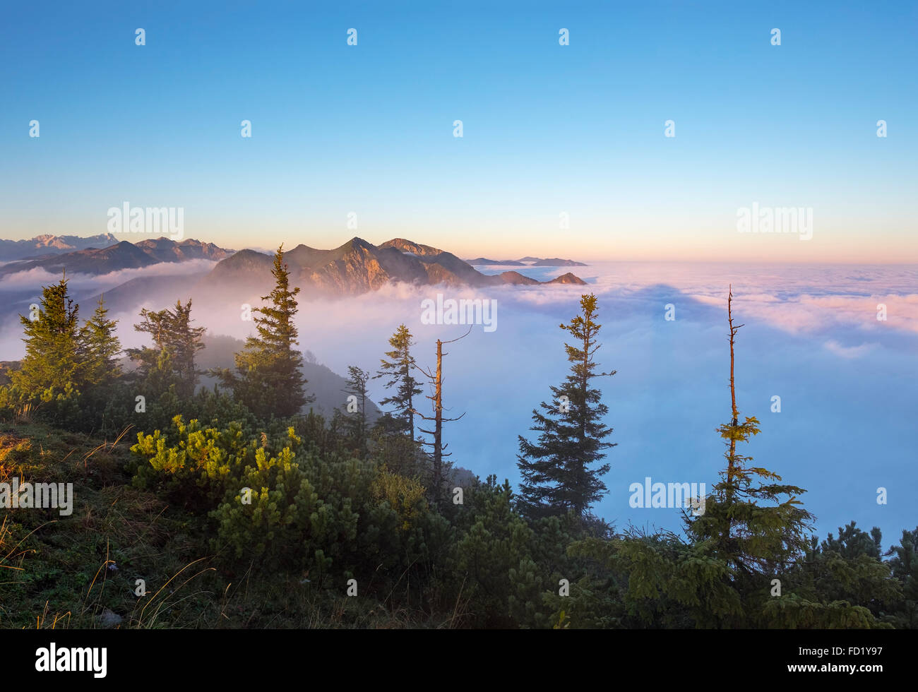 Frühmorgens am Berg Jochberg, Wolkendecke Herzogstand und Heimgarten in der Mitte, hinten links, Zugspitze Stockfoto