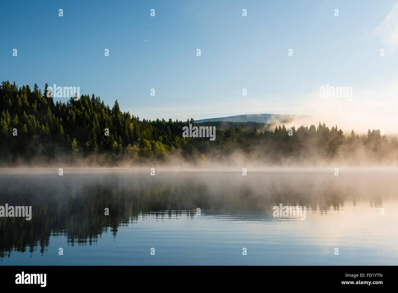 Nebel über dem See, Niederländisch, Clearwater, Britisch-Kolumbien, Kanada Stockfoto