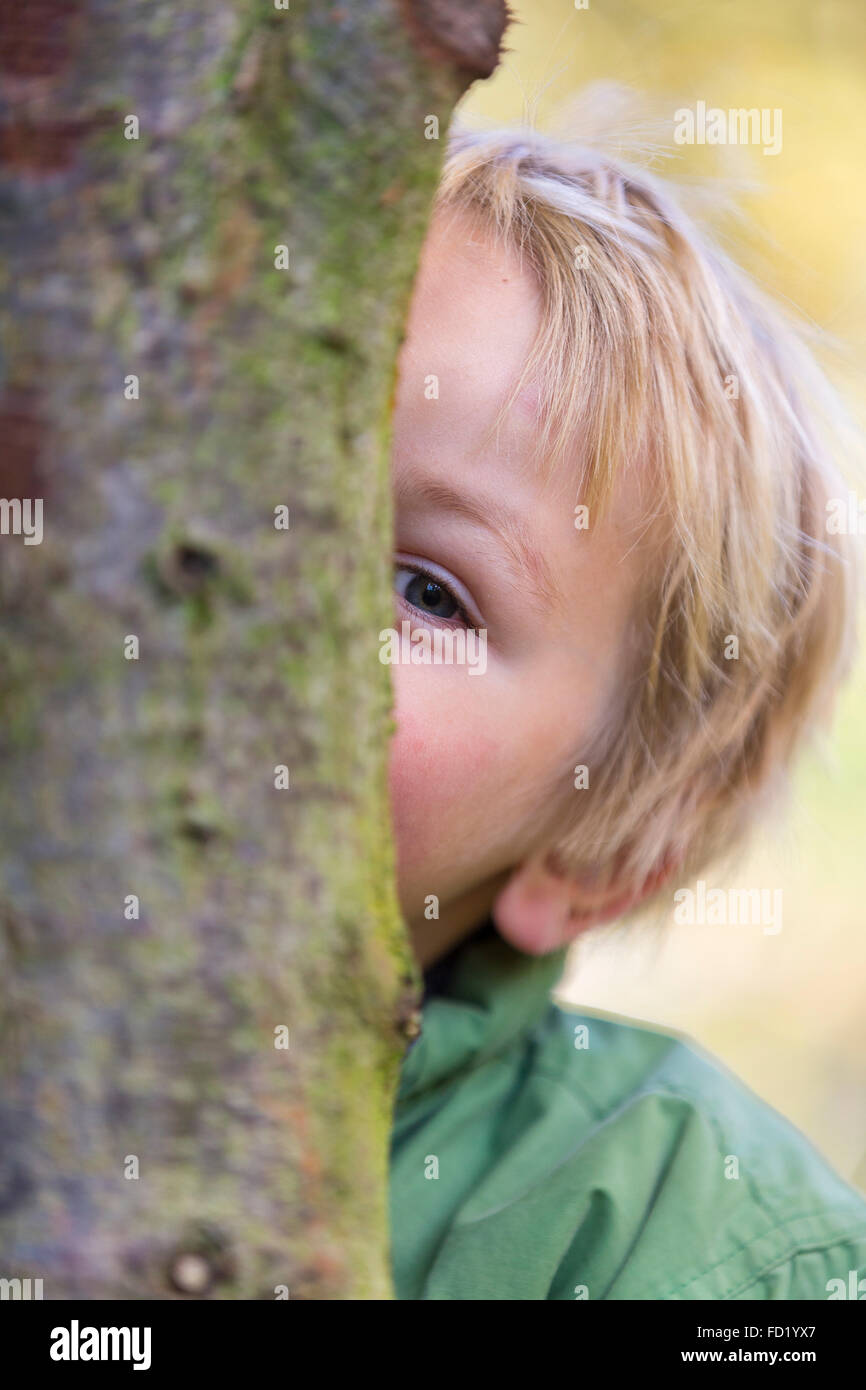 Junge hinter Baum, spielen verstecken und suchen, 3 Jahre, Niedersachsen, Deutschland Stockfoto