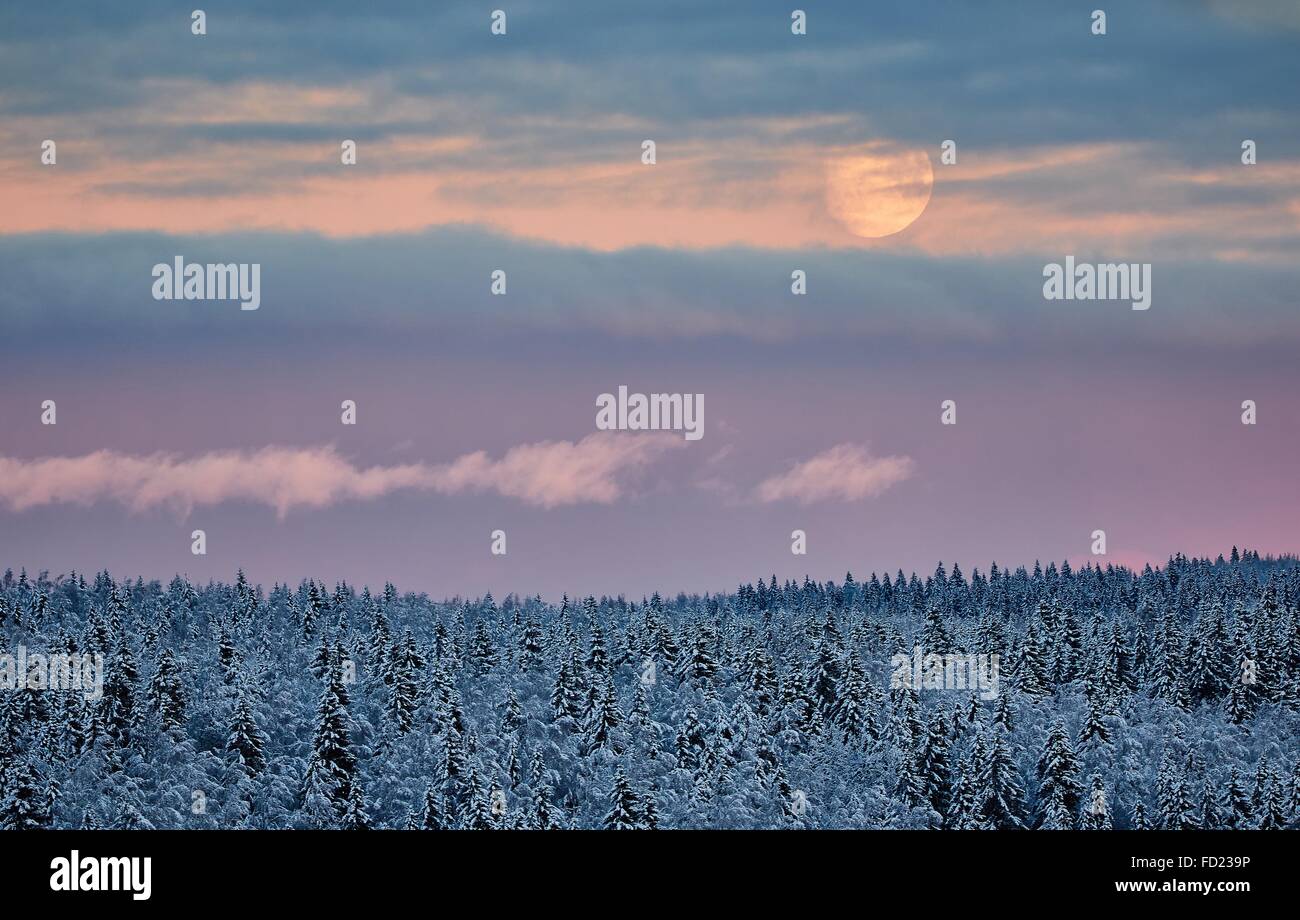 Schneelandschaft im Winter. Teilweise bewölkter Himmel und der Mond scheint hinter den Wolken. Stockfoto