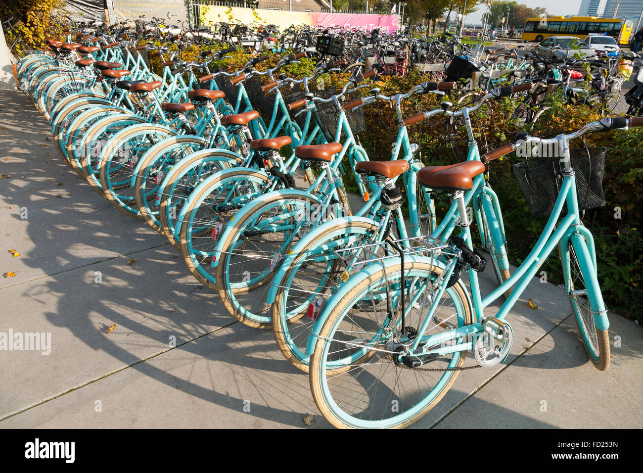 Fahrrad mieten Shop / bike / Fahrrad Verleih Schema – neben Café De Pont  auf Buiksloterweg, Amsterdam, Noord-Holland. Die Niederlande  Stockfotografie - Alamy