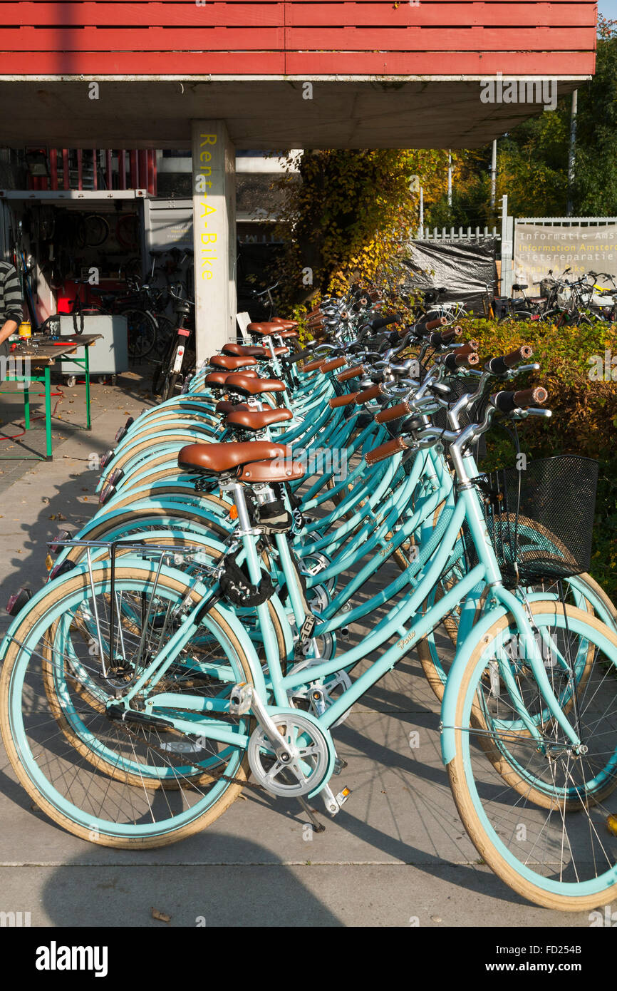 Fahrrad mieten Shop / bike / Fahrrad Verleih Schema – neben Café De Pont  auf Buiksloterweg, Amsterdam, Noord-Holland. Die Niederlande  Stockfotografie - Alamy