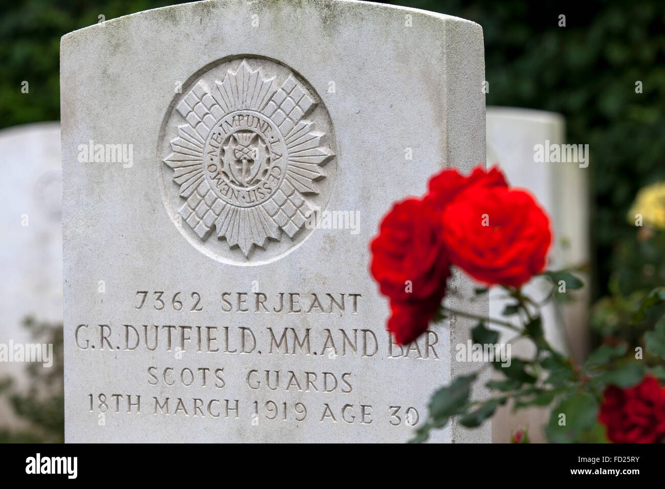 Europa, Deutschland, Nordrhein-Westfalen, Köln, Commonwealth Kriegsfriedhof Gräber Kommission innerhalb Südfriedhof Köln ich Stockfoto