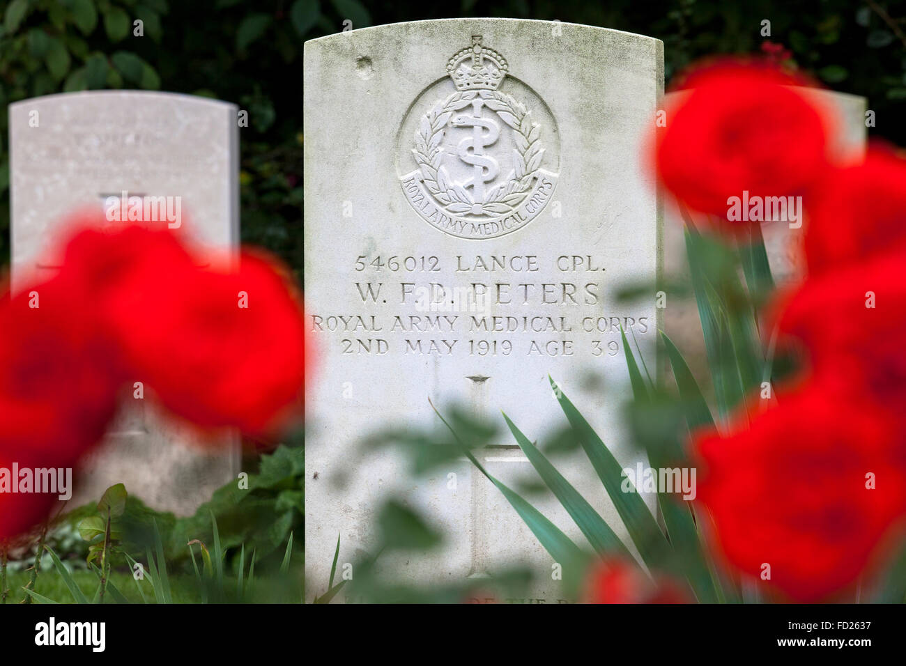 Europa, Deutschland, Nordrhein-Westfalen, Köln, Commonwealth Kriegsfriedhof Gräber Kommission innerhalb Südfriedhof Köln ich Stockfoto