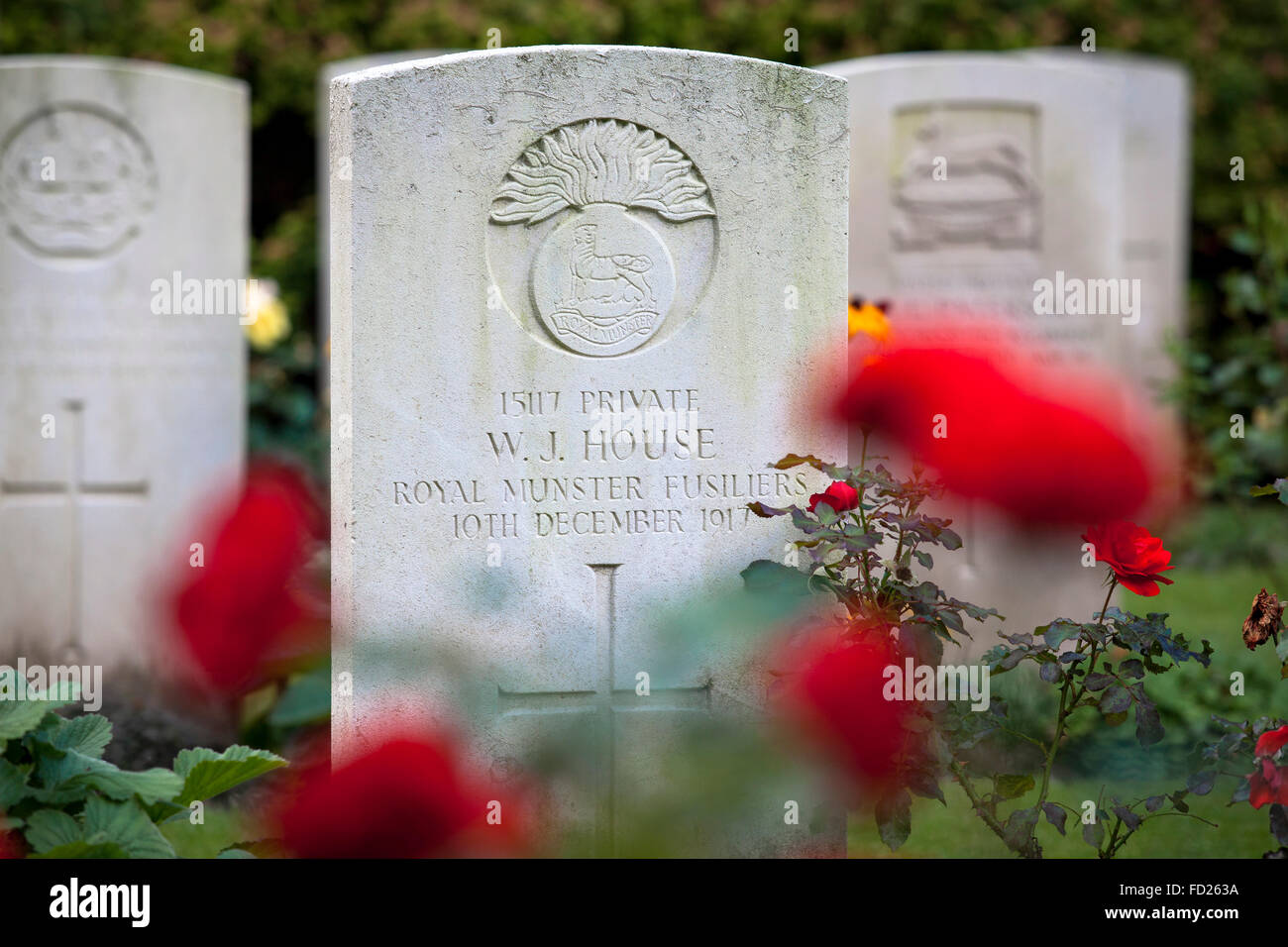 Europa, Deutschland, Nordrhein-Westfalen, Köln, Commonwealth Kriegsfriedhof Gräber Kommission innerhalb Südfriedhof Köln ich Stockfoto