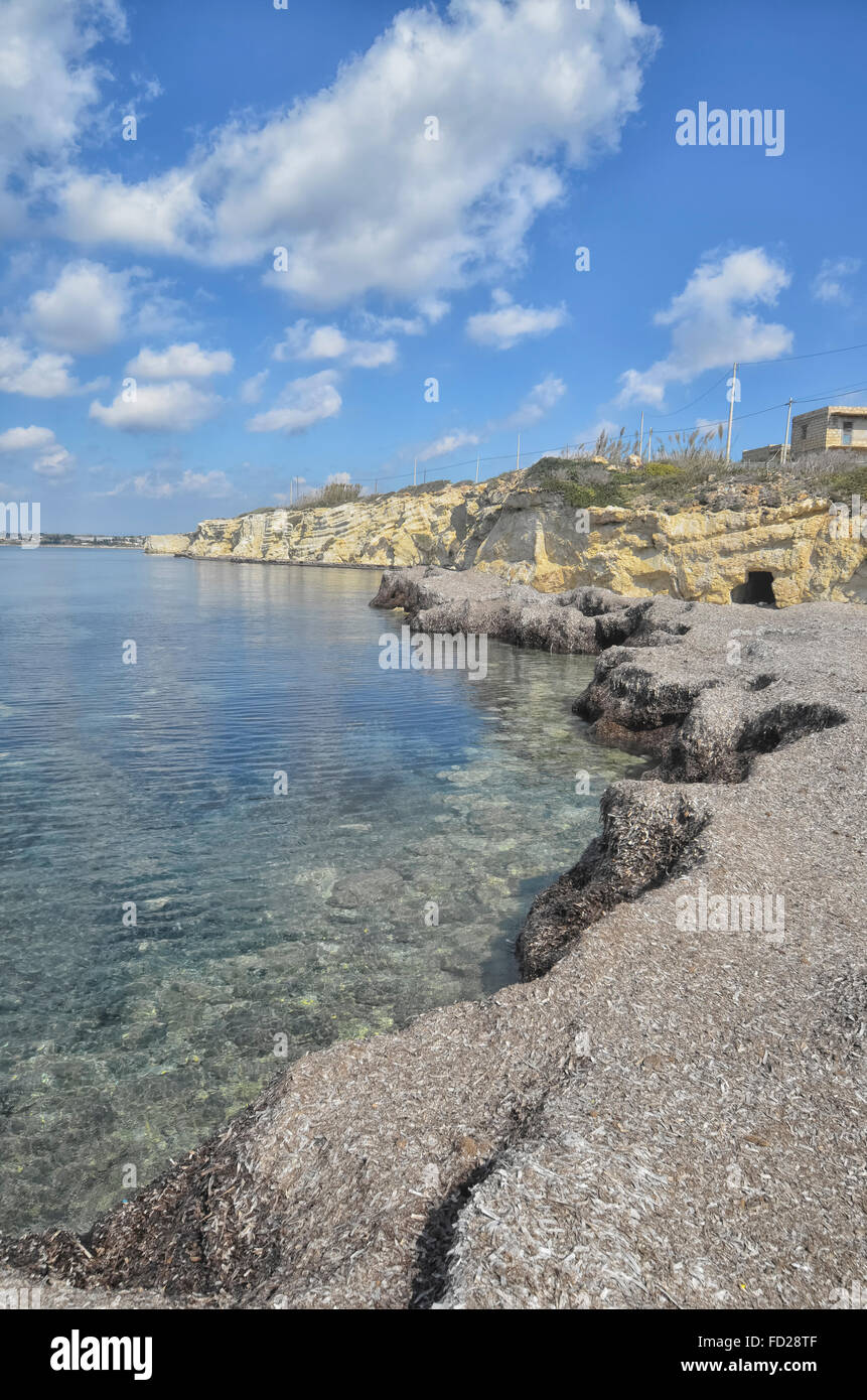 Ansammlung von mediterranen Tapeweed an der Küste von Sizilien Stockfoto