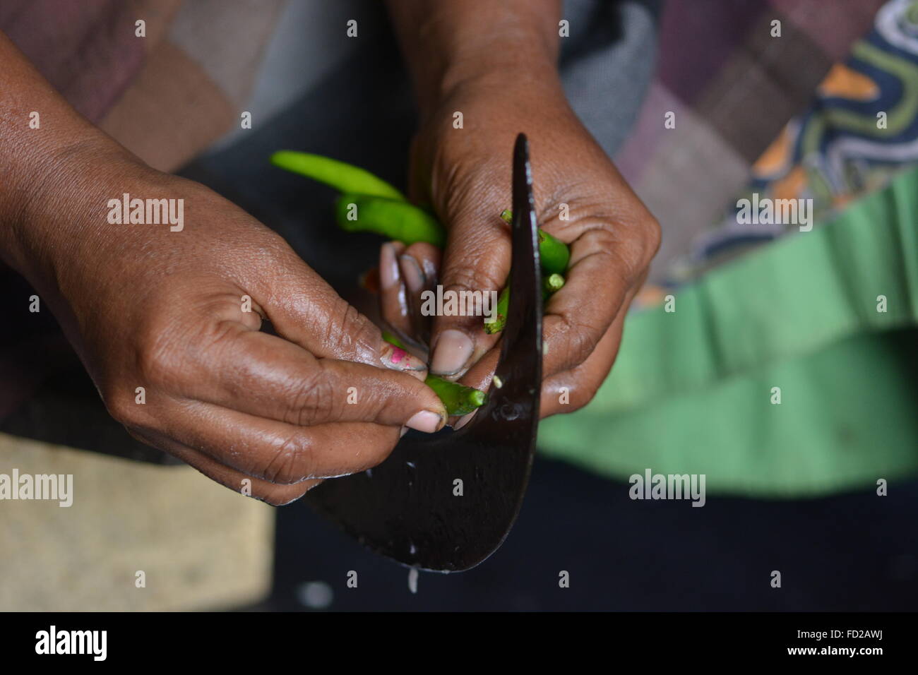 Mumbai, Indien - 28. Oktober 2015 - Frau schneiden Chili und Zwiebeln auf einem traditionellen schneiden Hocker in indischen Küche Stockfoto