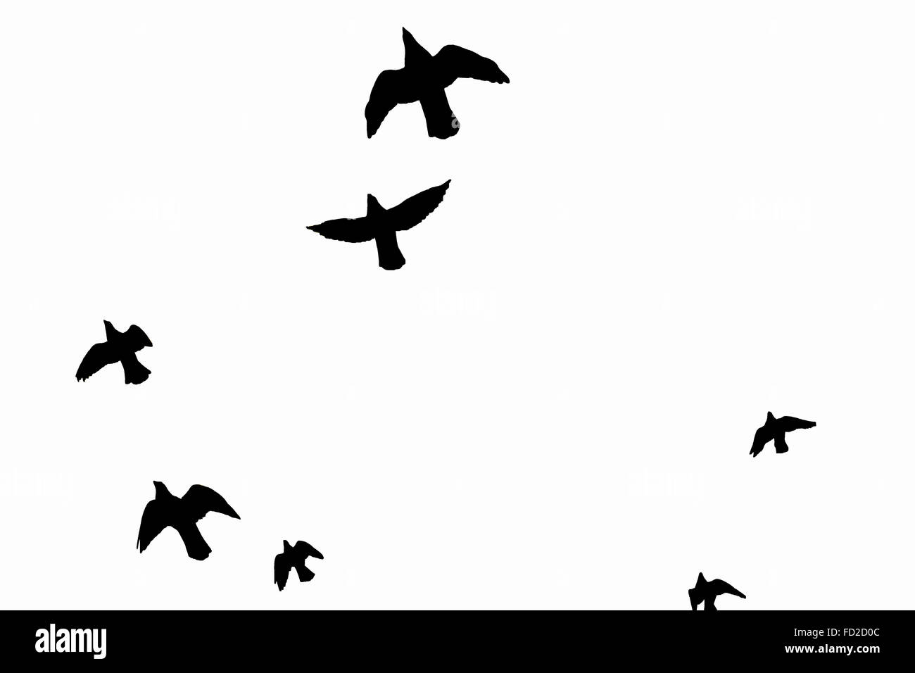 Schwarze Profile fliegende Vögel Stockfoto