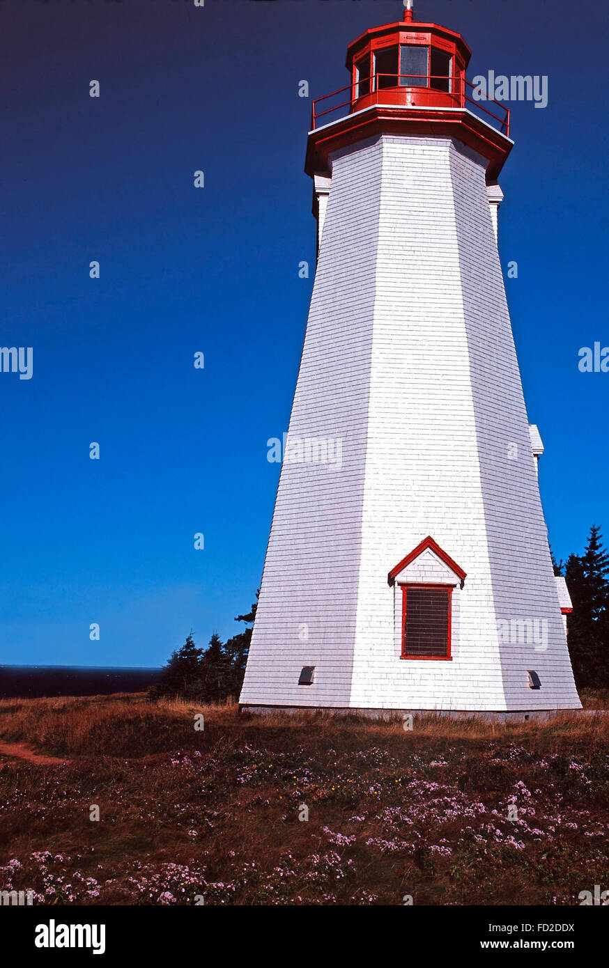 Seekuh Head Lighthouse, Prinz Eduard Insel Stockfoto
