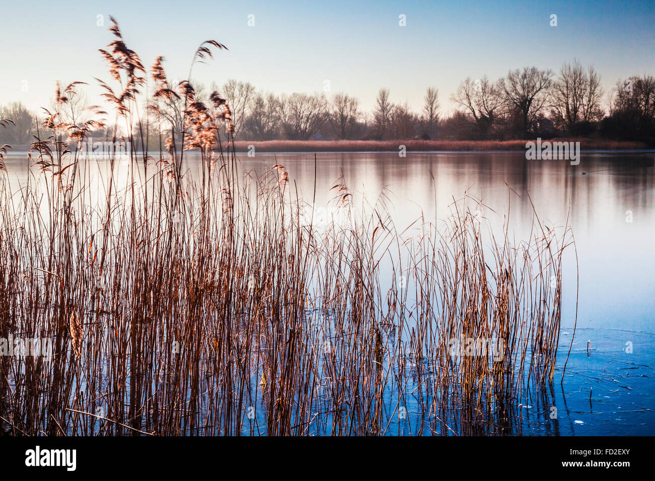 Ein Winter-Sonnenaufgang über eines der Seen im Cotswold Water Park Stockfoto