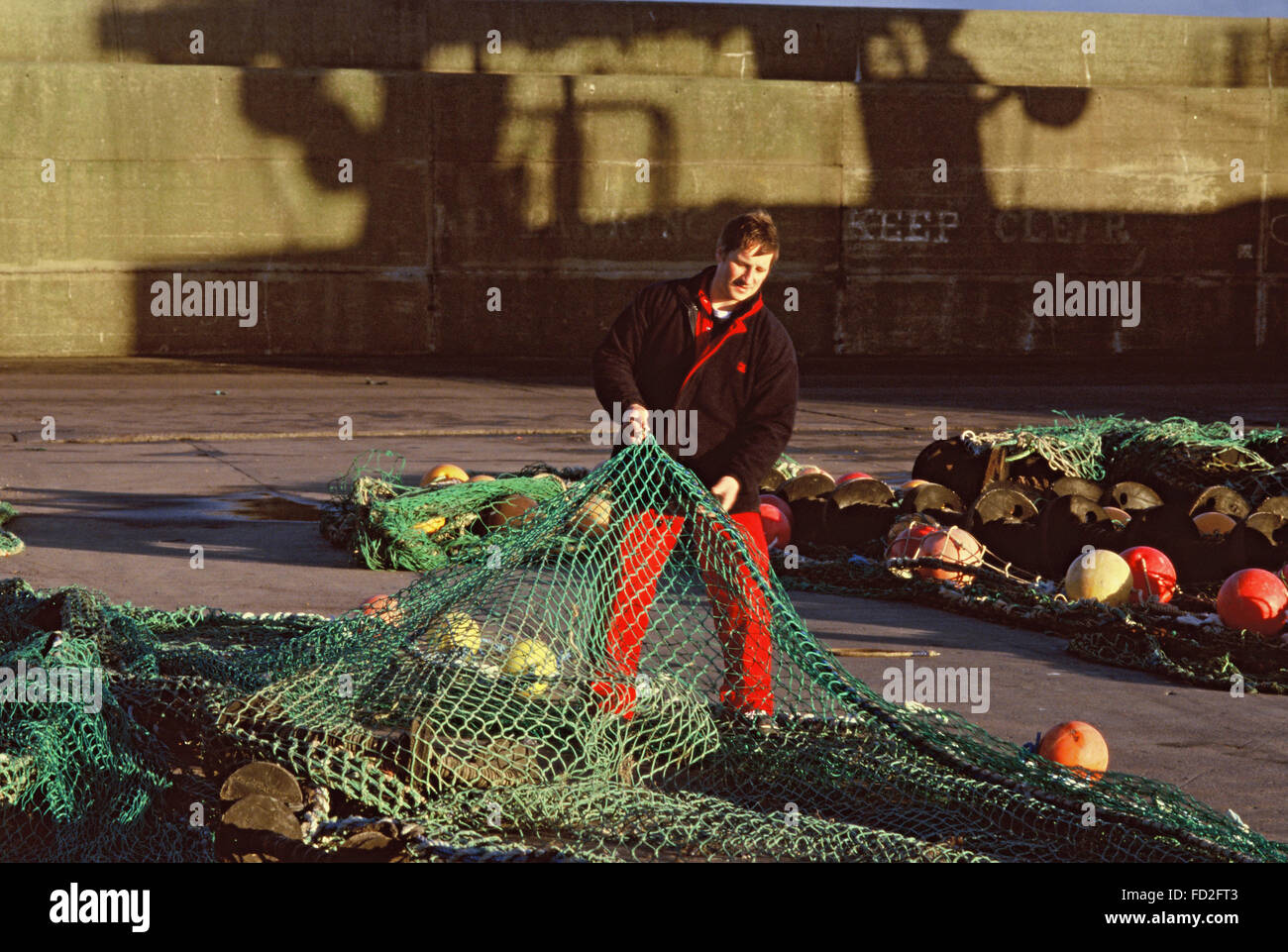 Pelagischen Fischer bei der Arbeit im Hafen von Fraserburgh Schottland Stockfoto