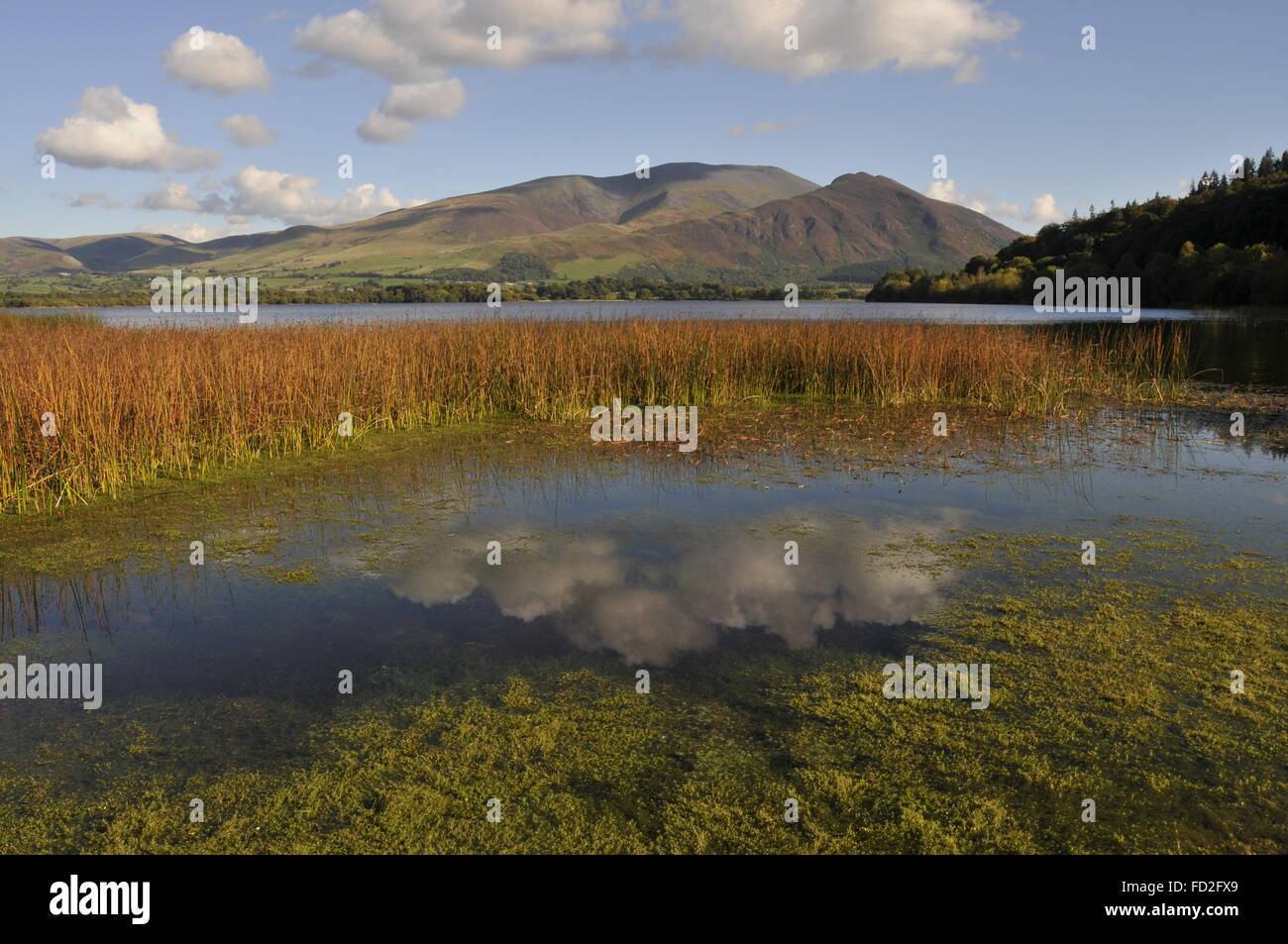 Skiddaw mit Blick auf Bassenthwaite lake Stockfoto