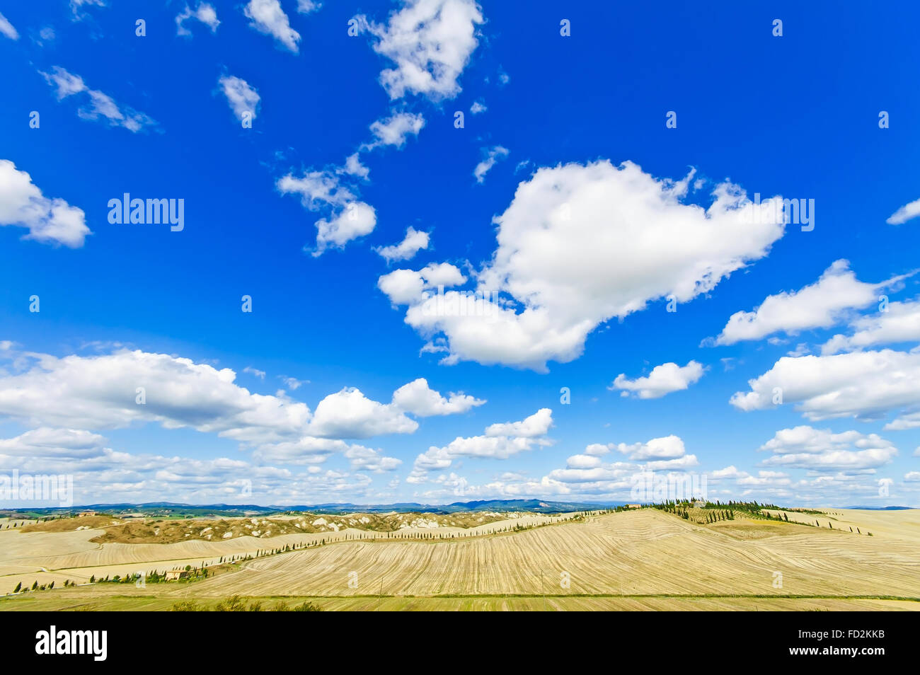 Toskana Landschaft Panorama Blick über Felder und Bäume in Crete Senesi landen in der Nähe von Siena, Toskana, Italien, Europa. Stockfoto