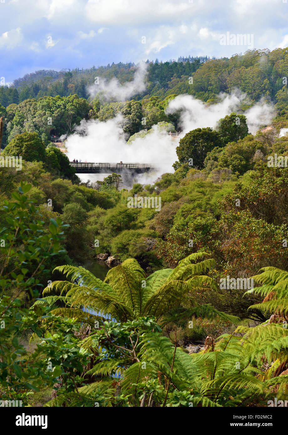 Der Pohutu-Geysir sprudelt und bricht aus mit Touristen, die im Naturpark herumlaufen, um ihn im Te Puia Maori Village, Rotorua, North Island, NZ zu sehen Stockfoto