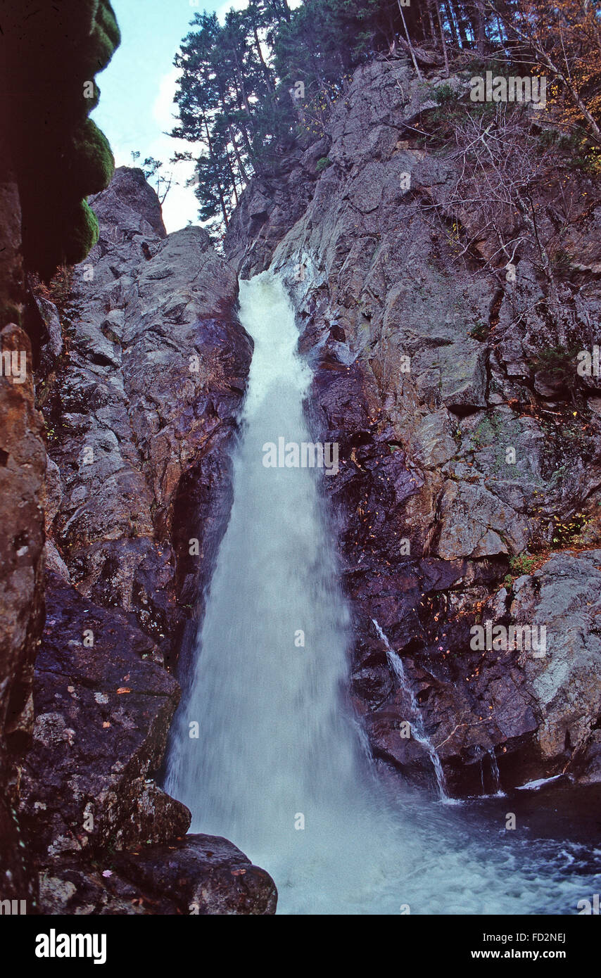 Glen fällt in den White Mountains, New Hampshire Stockfoto