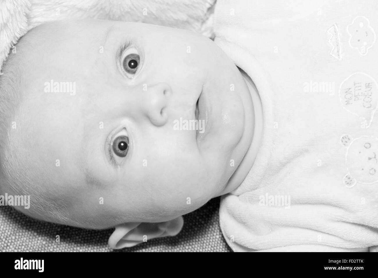 Portrait eines vier Monate alten Babyjungen schwarzen und weißen kaukasischen Stockfoto