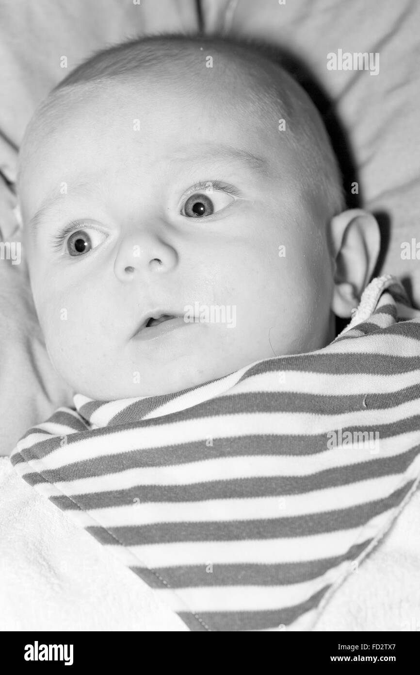 Portrait eines vier Monate alten Babyjungen schwarzen und weißen kaukasischen Stockfoto