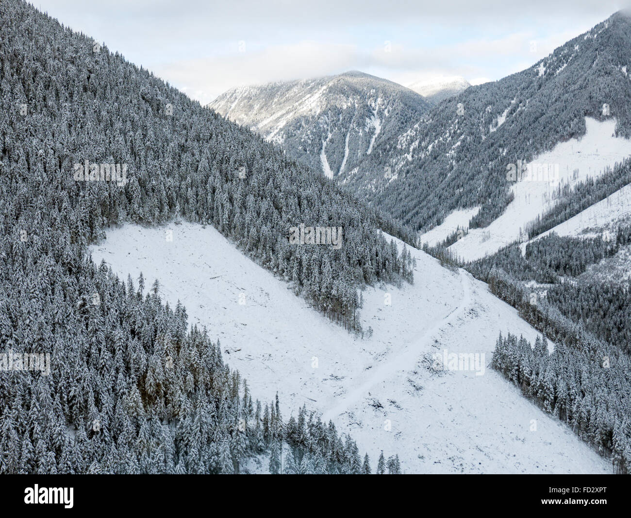 Aerial Winter Blick auf klaren Schnitt Protokollierung; Selkirk Mountains in der Nähe von entfernten Mount Carlyle Lodge;  Britisch-Kolumbien; Kanada Stockfoto