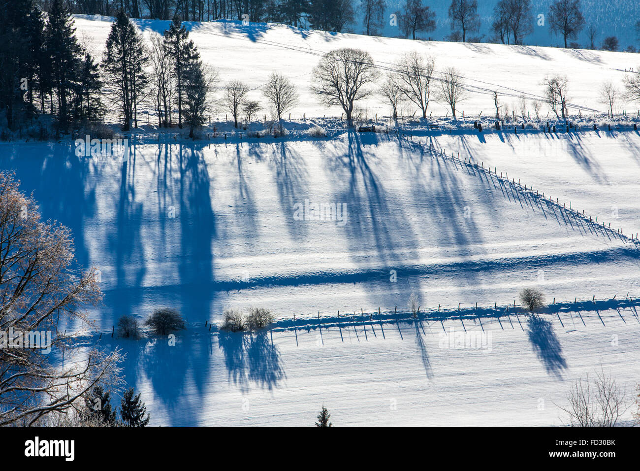 Winter, verschneite Landschaft im Bereich Sauerland, Deutschland, Stockfoto
