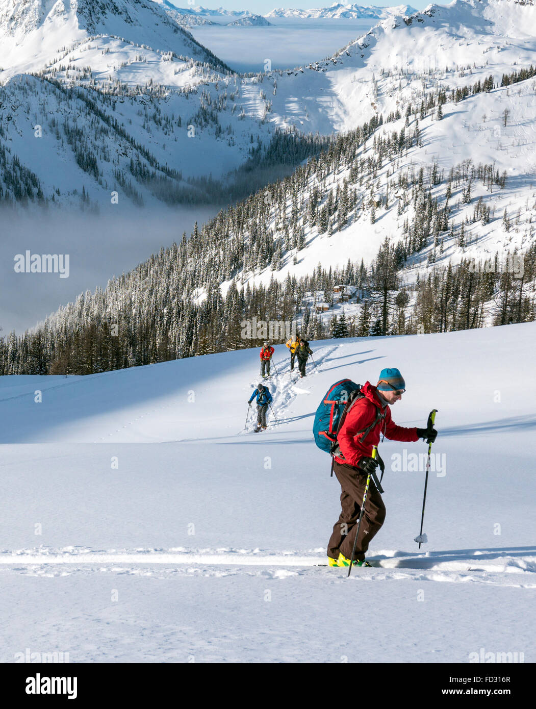 Backcountry Skifahrer verwenden synthetische Felle um zu klettern; Selkirk Mountains in der Nähe von entfernten Mount Carlyle Lodge;  Britisch-Kolumbien; Kanada Stockfoto