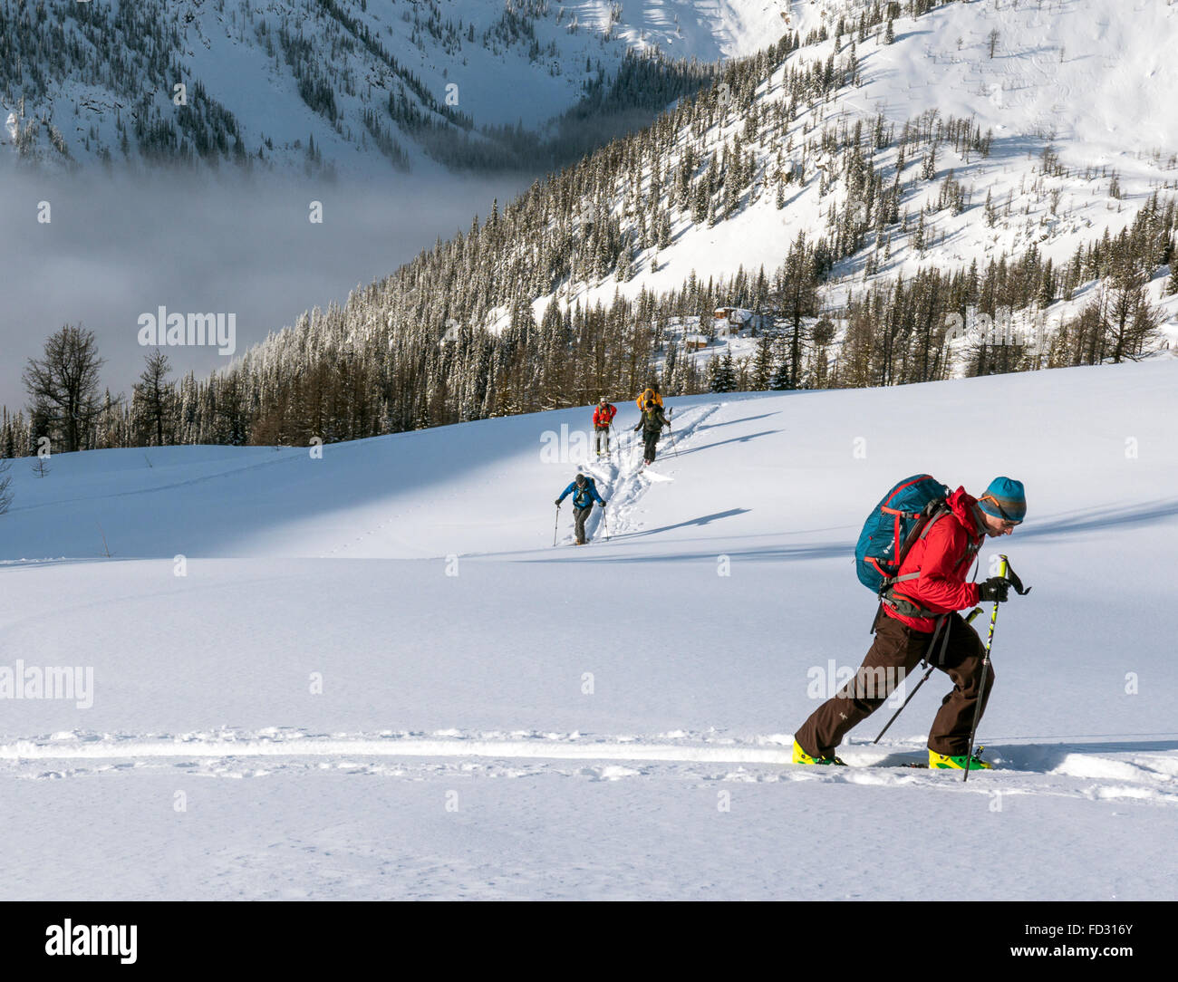 Backcountry Skifahrer verwenden synthetische Felle um zu klettern; Selkirk Mountains in der Nähe von entfernten Mount Carlyle Lodge;  Britisch-Kolumbien; Kanada Stockfoto