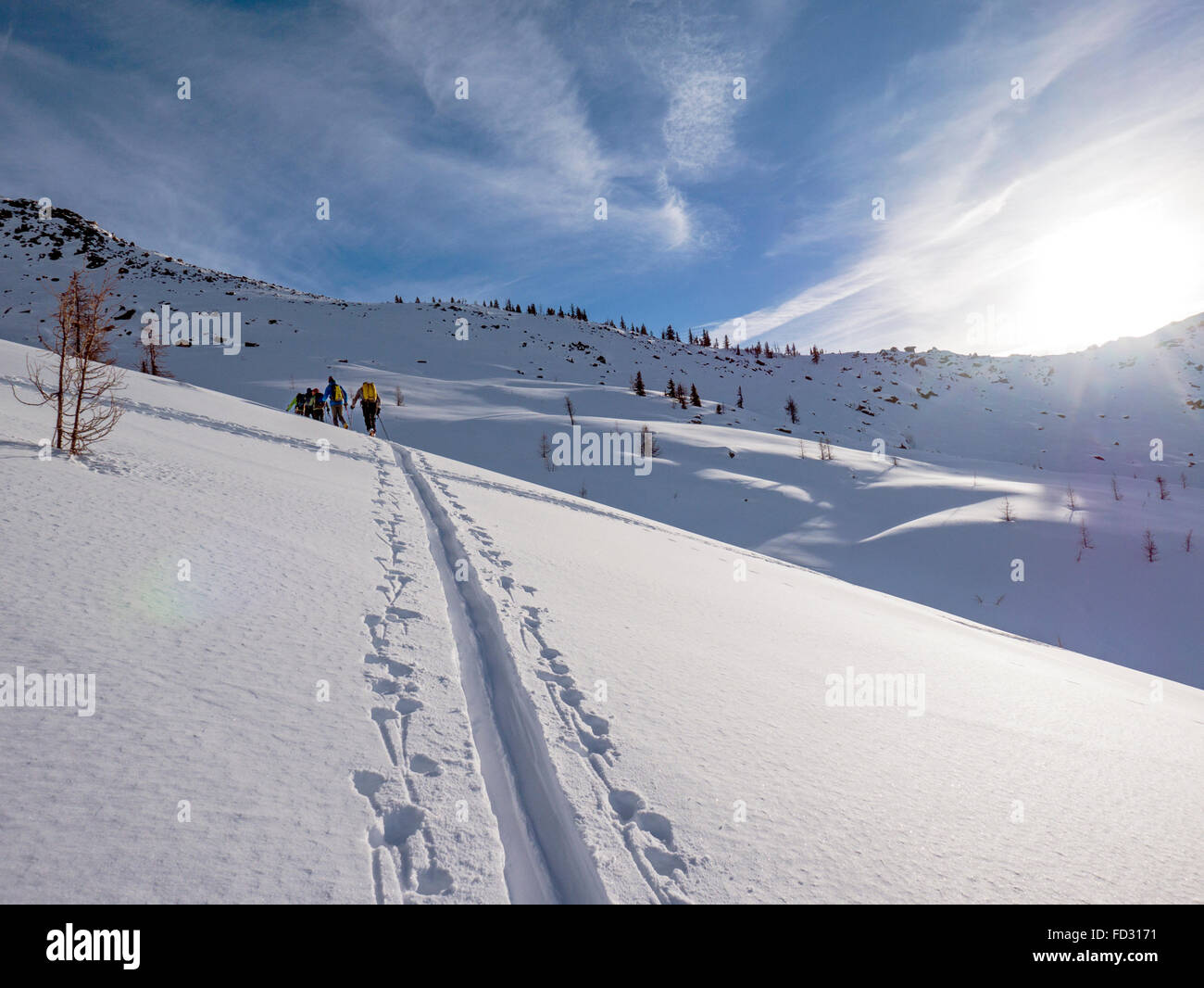 Backcountry Skifahrer verwenden synthetische Felle um zu klettern; Selkirk Mountains in der Nähe von entfernten Mount Carlyle Lodge;  Britisch-Kolumbien; Kanada Stockfoto