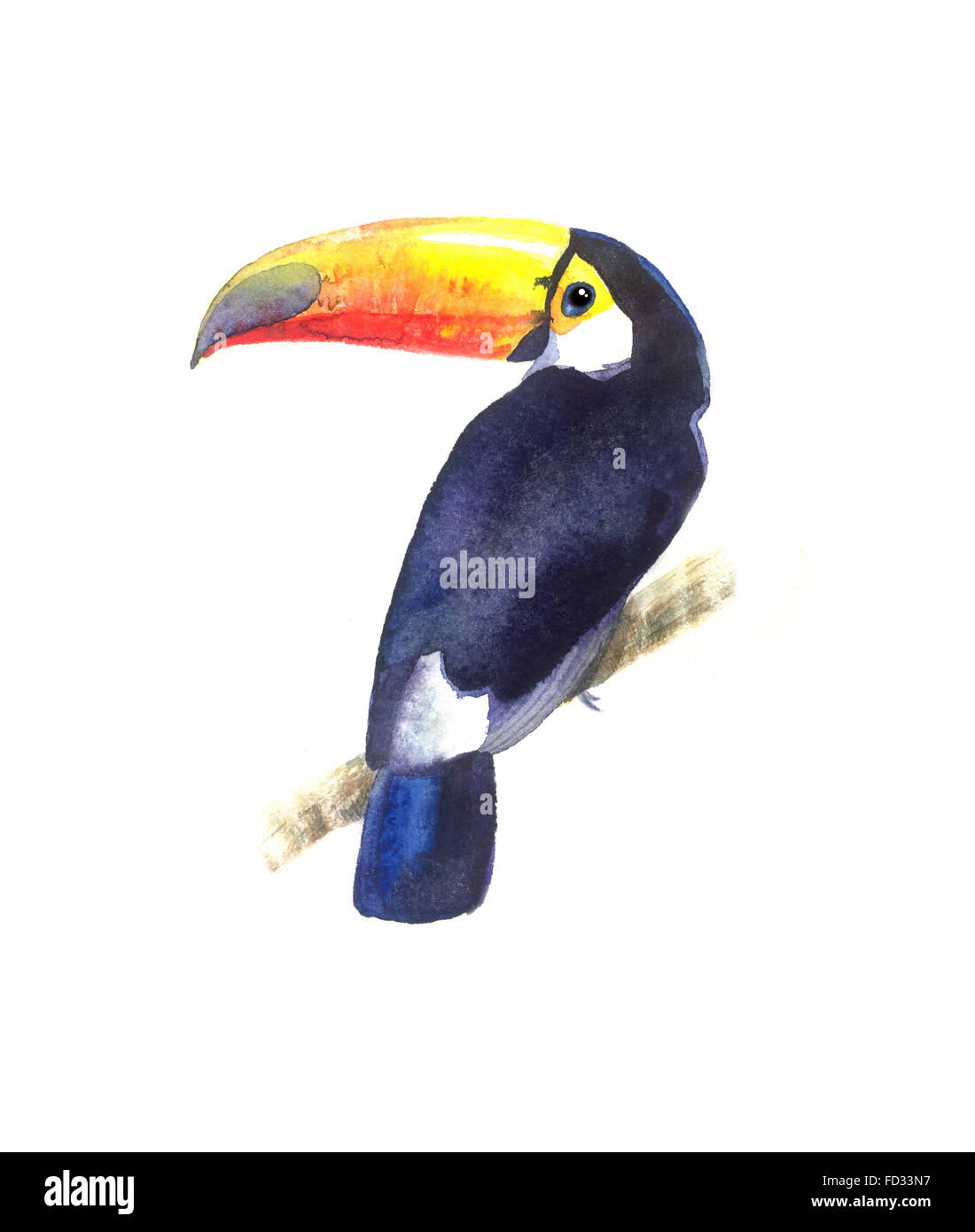 Hellen Aquarell Tukan Vogel auf weißem Hintergrund Stockfoto